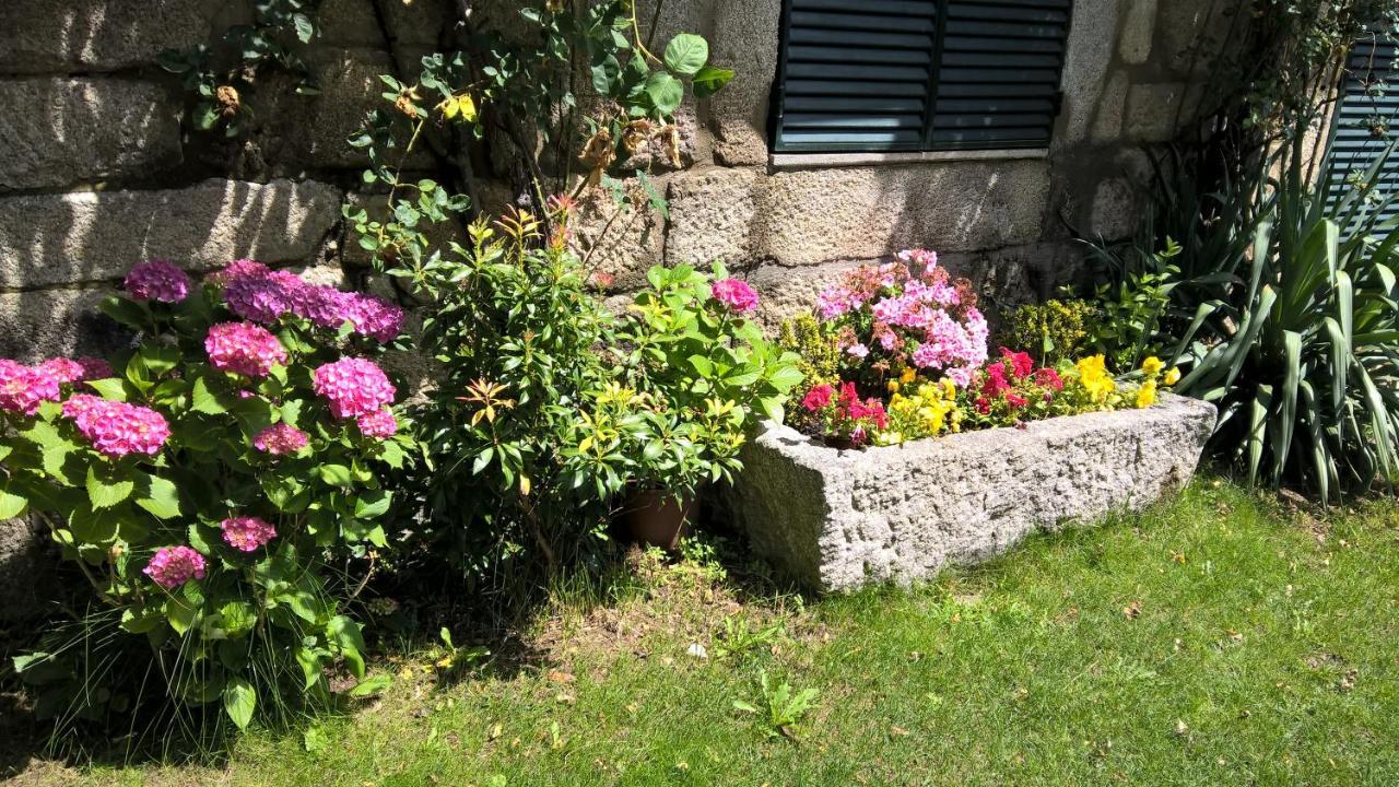 Conjunto Entre Acebos Guest House Sotillo de Sanabria Eksteriør bilde